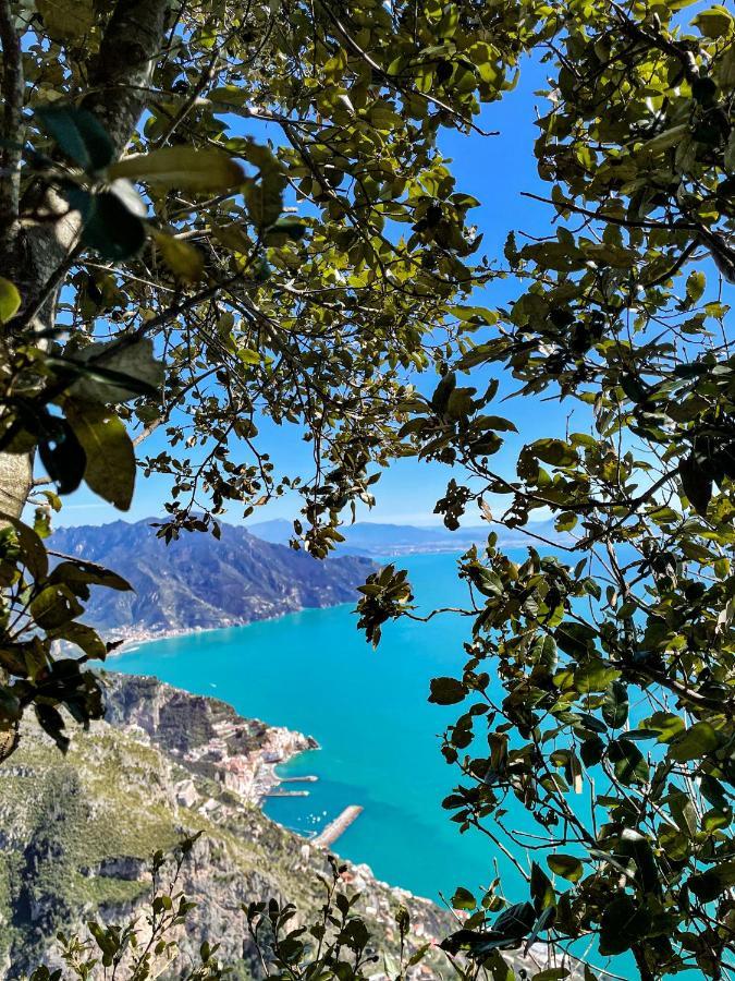 Agriturismo Punta San Lazzaro Аджерола Екстериор снимка